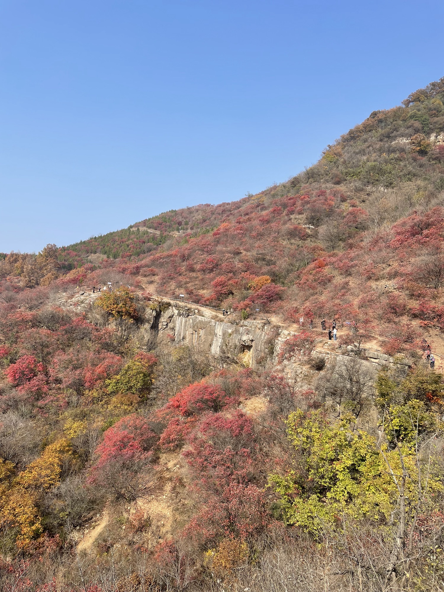 蒙山龙头崮红叶谷旅行图片 1