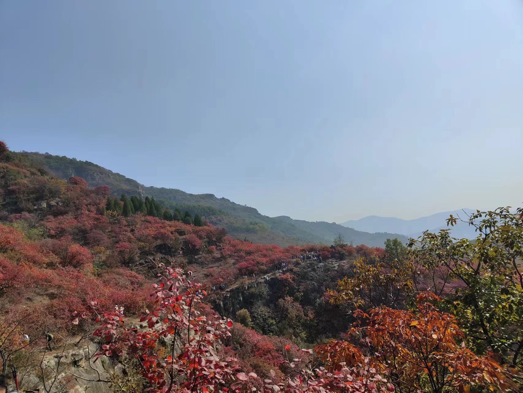 蒙山龙头崮红叶谷旅行图片 2