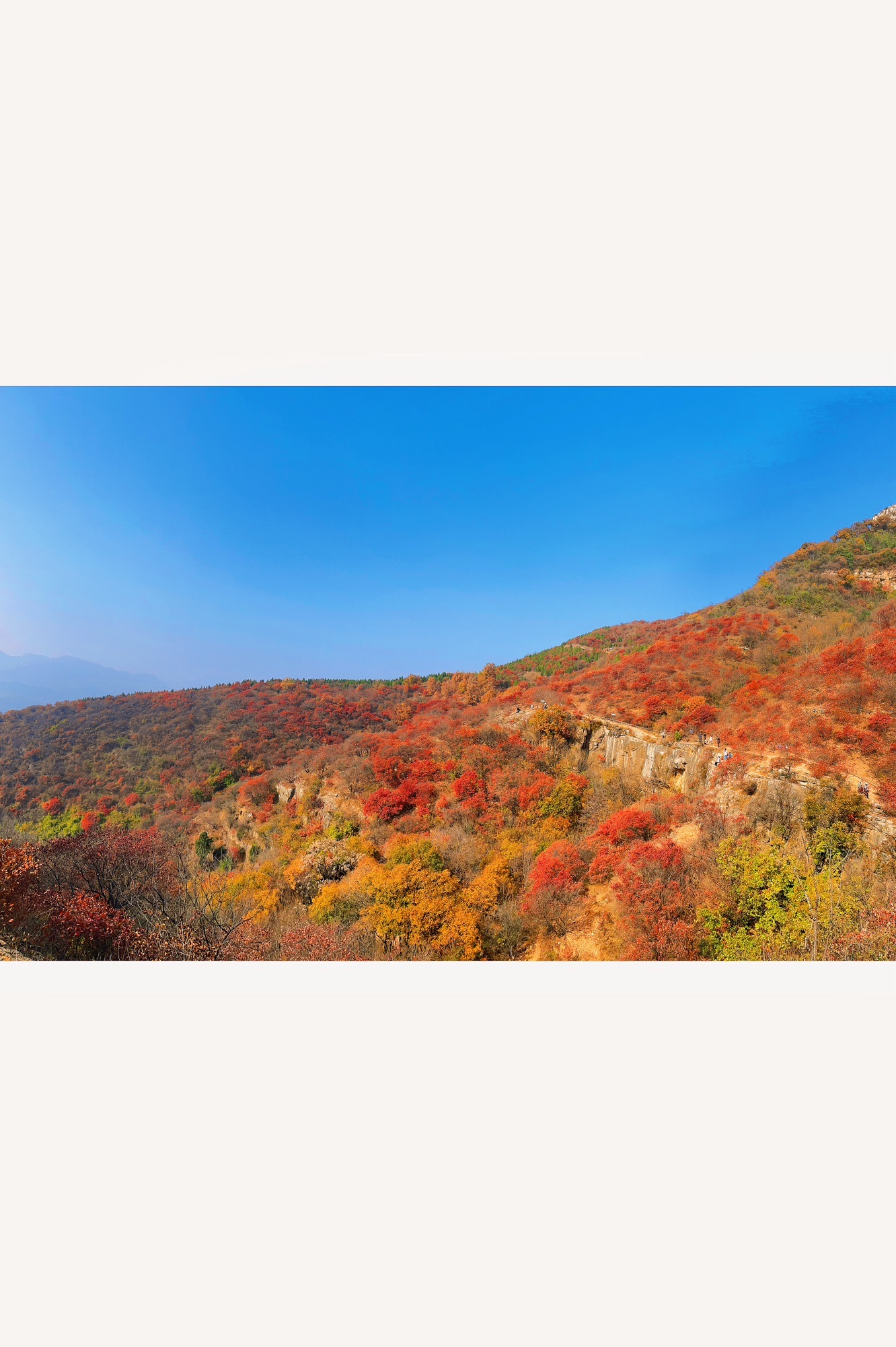 蒙山龙头崮红叶谷旅行图片 2