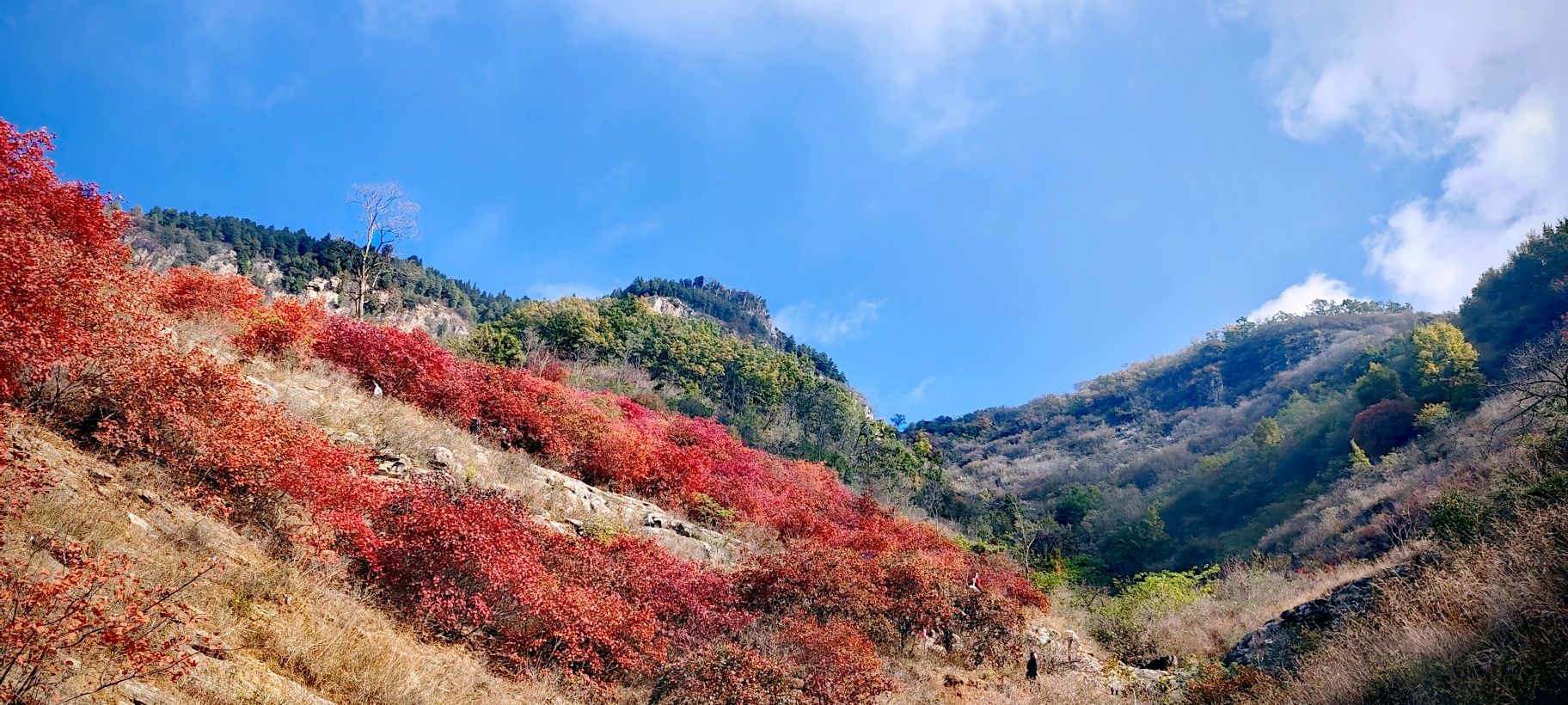 蒙山龙头崮红叶谷旅行图片 2