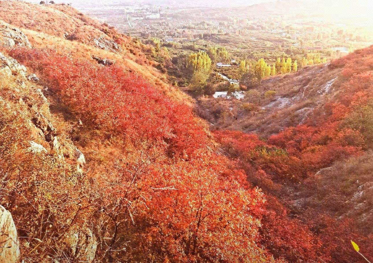 蒙山龙头崮红叶谷旅行图片 3