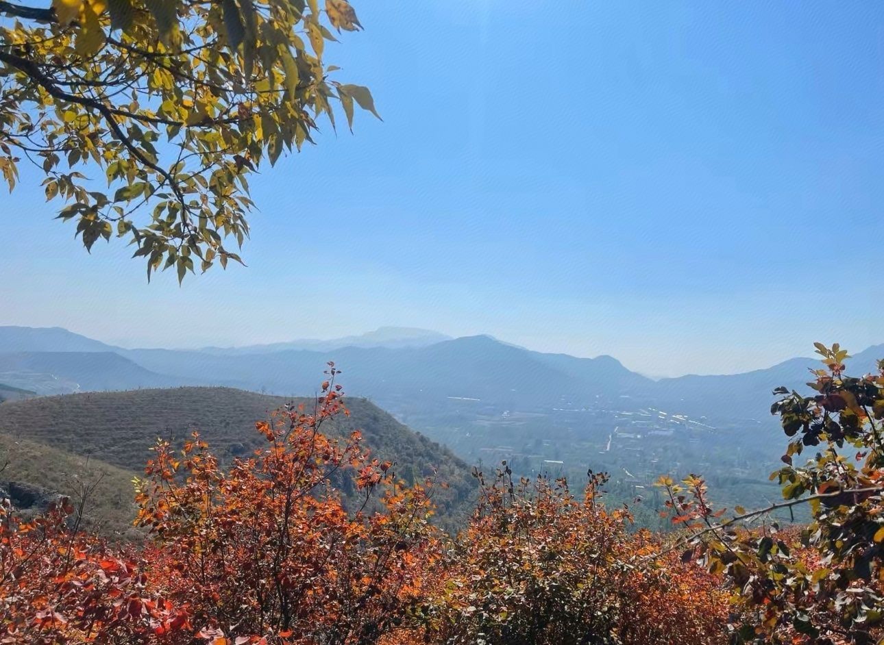 蒙山龙头崮红叶谷旅行图片 2