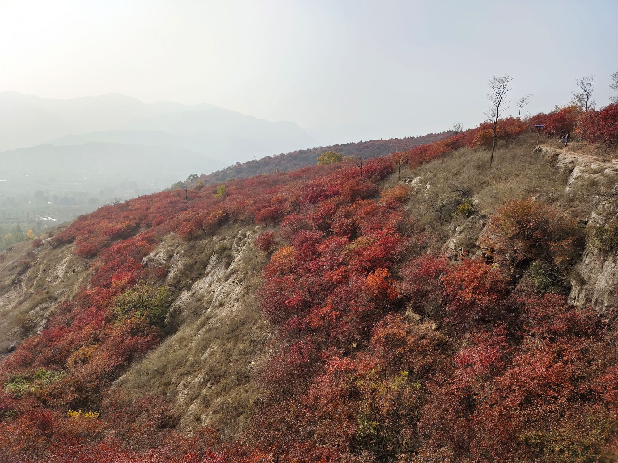 蒙山龙头崮红叶谷旅行图片 2