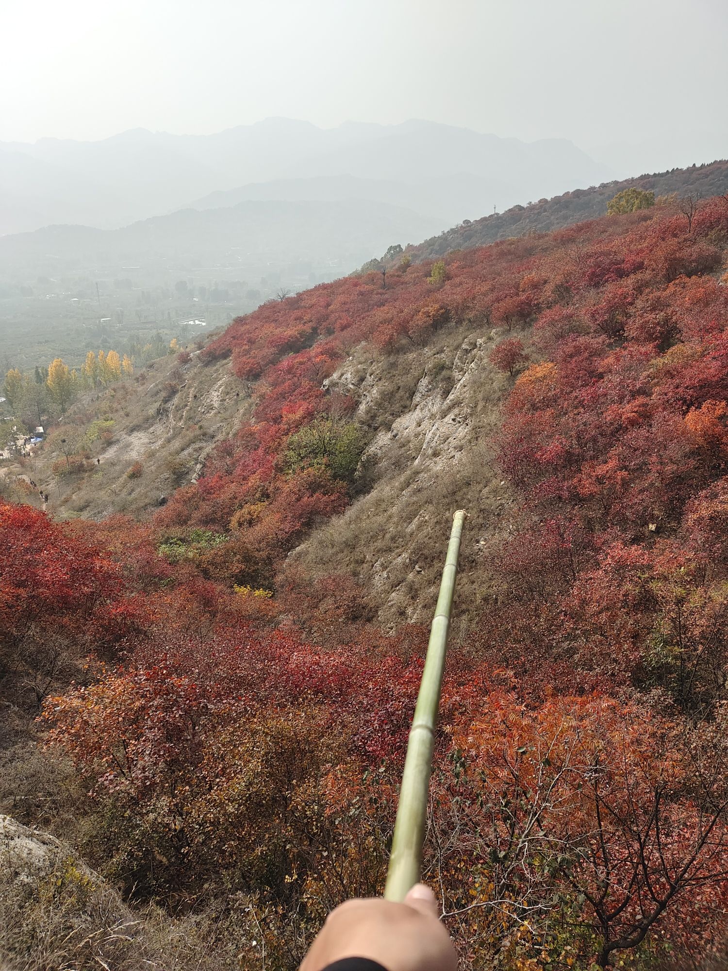 蒙山龙头崮红叶谷旅行图片 1