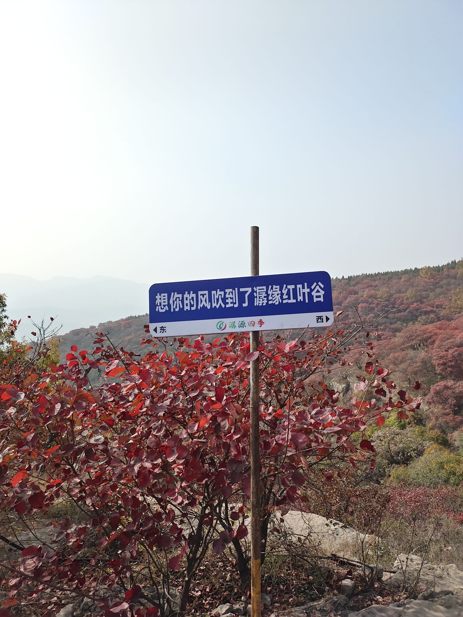 蒙山龙头崮红叶谷旅行图片 3