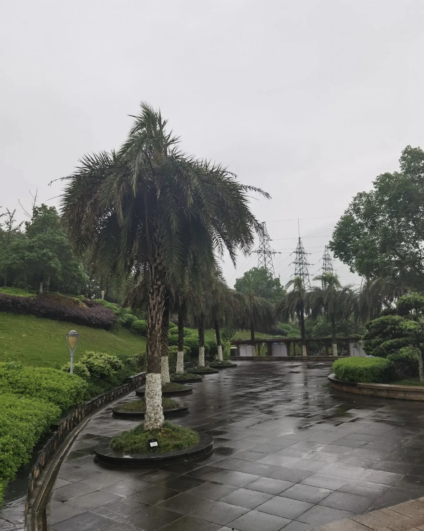 苏仙区文化公园旅行图片 2