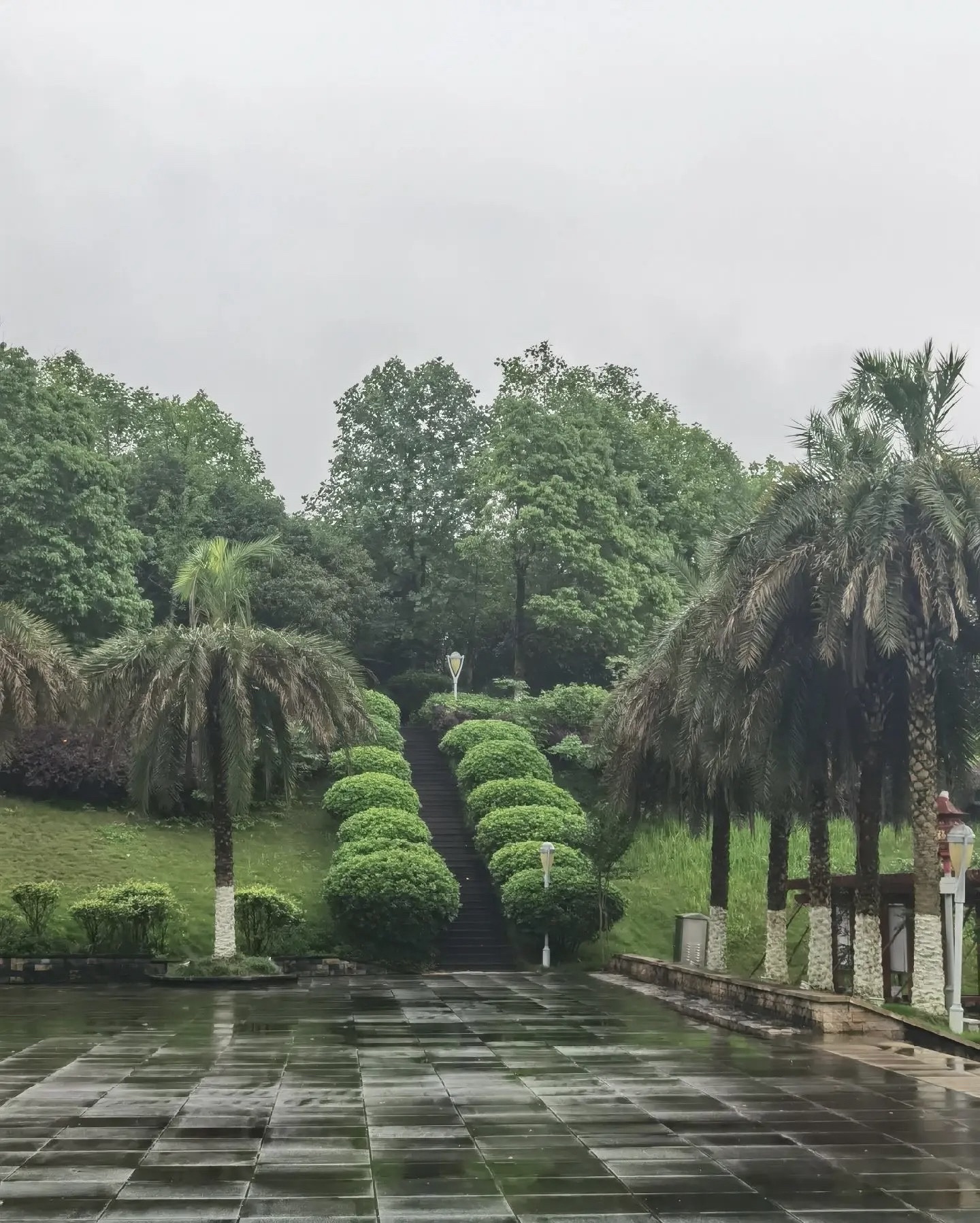 苏仙区文化公园旅行图片 3