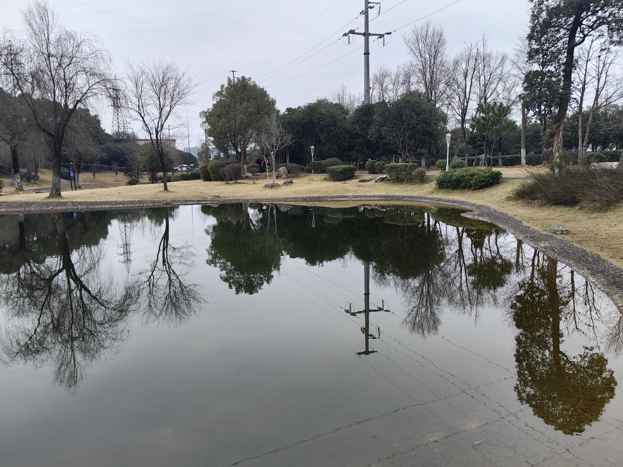 苏仙区文化公园旅行图片 2
