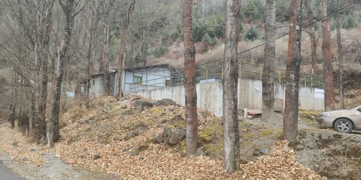 红岩顶旅行图片 1