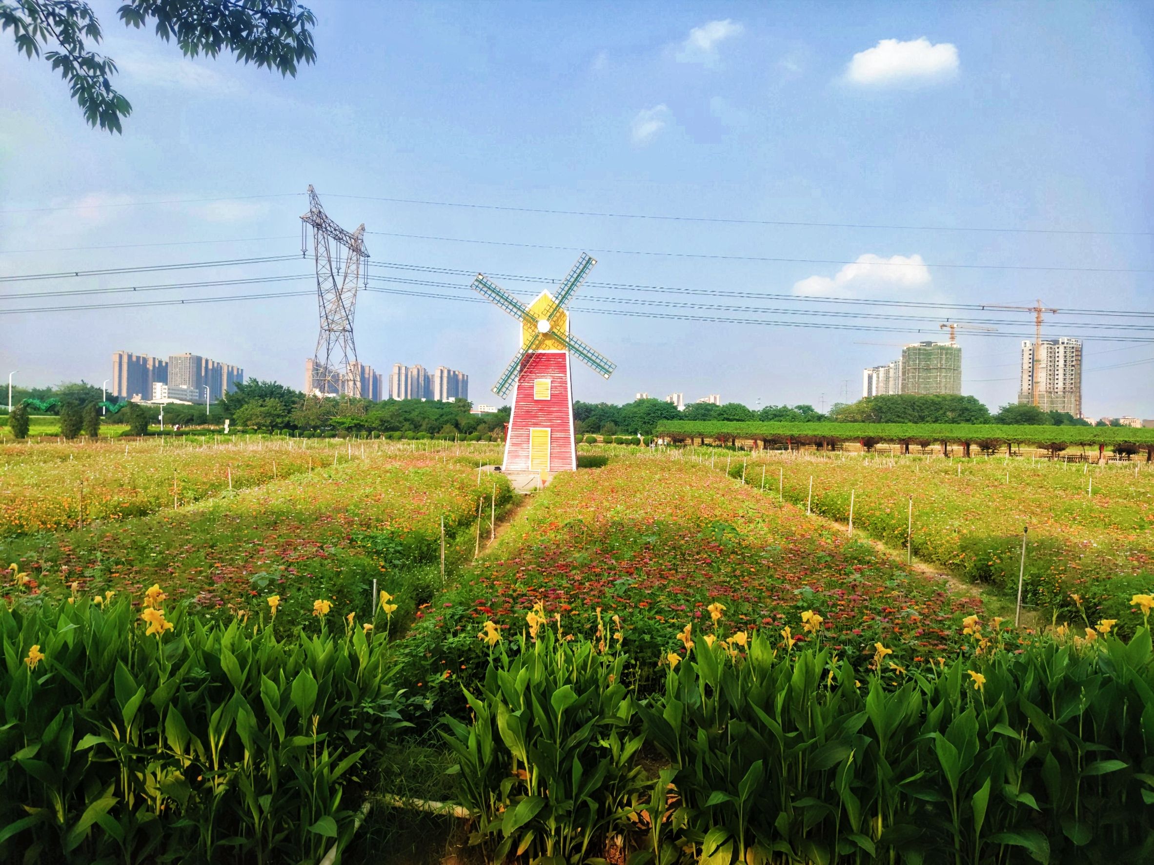 翰林花海
