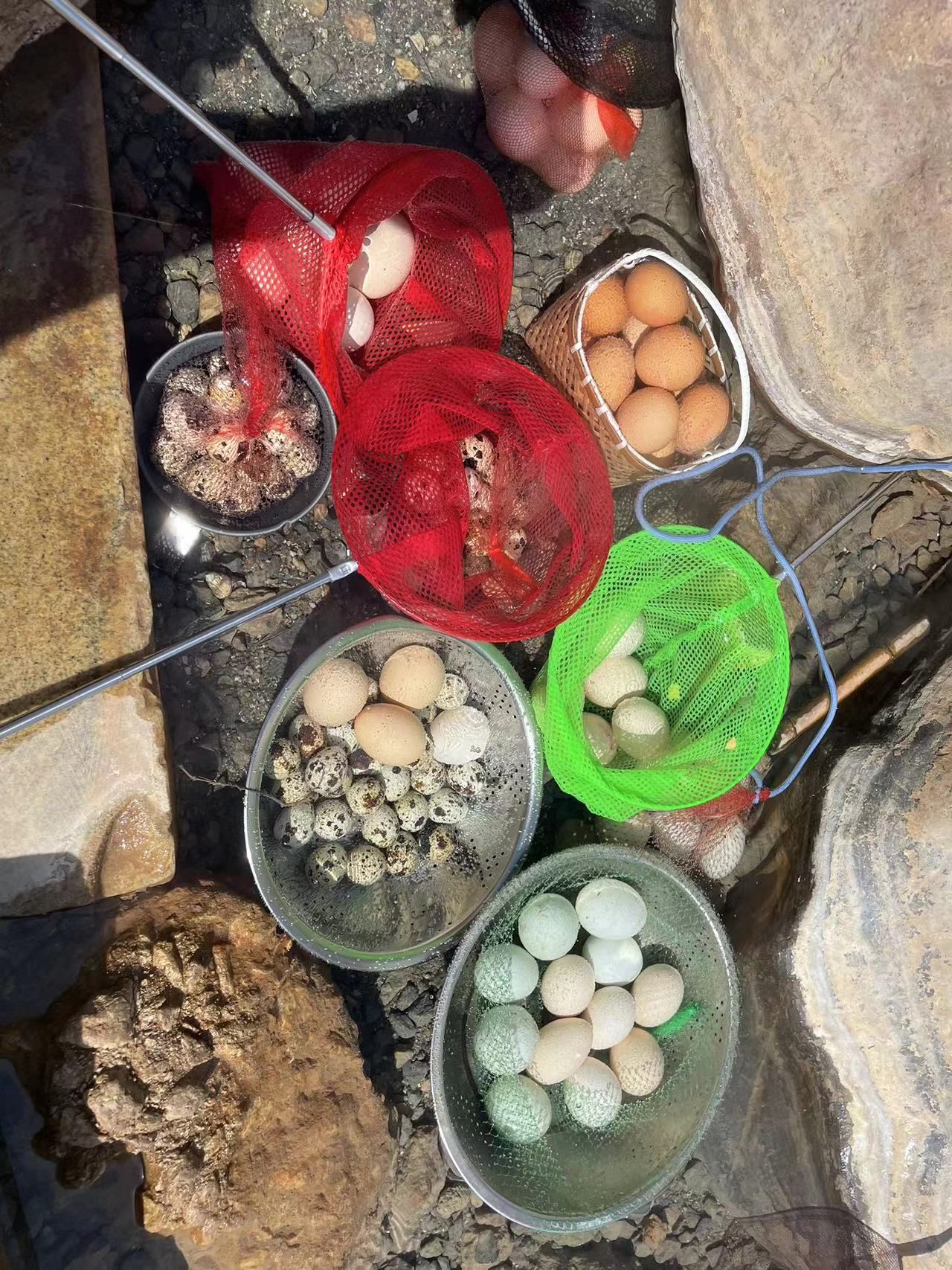 三江口温泉湿地公园旅行图片 1