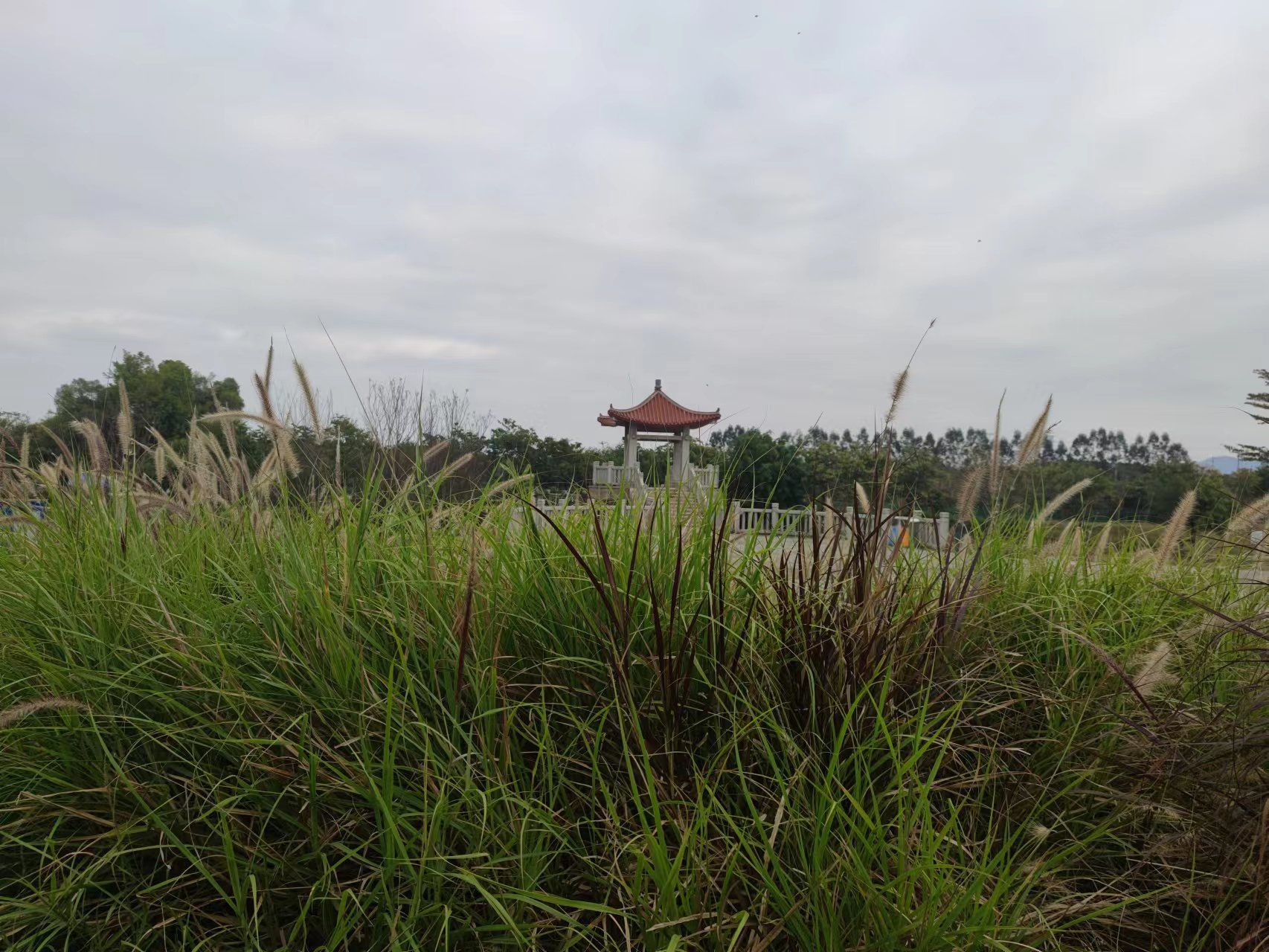 三江口温泉湿地公园旅行图片 2