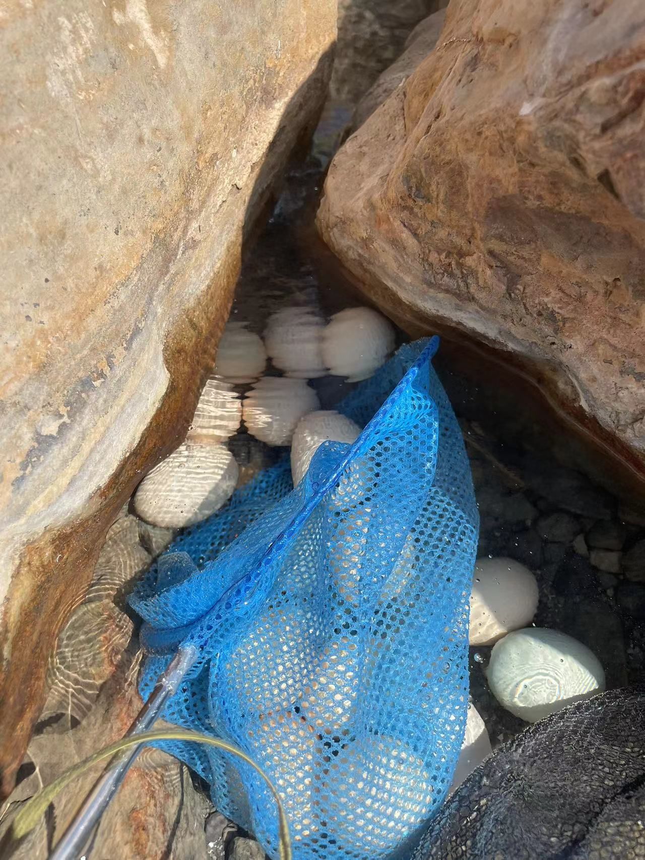 三江口温泉湿地公园旅行图片 2