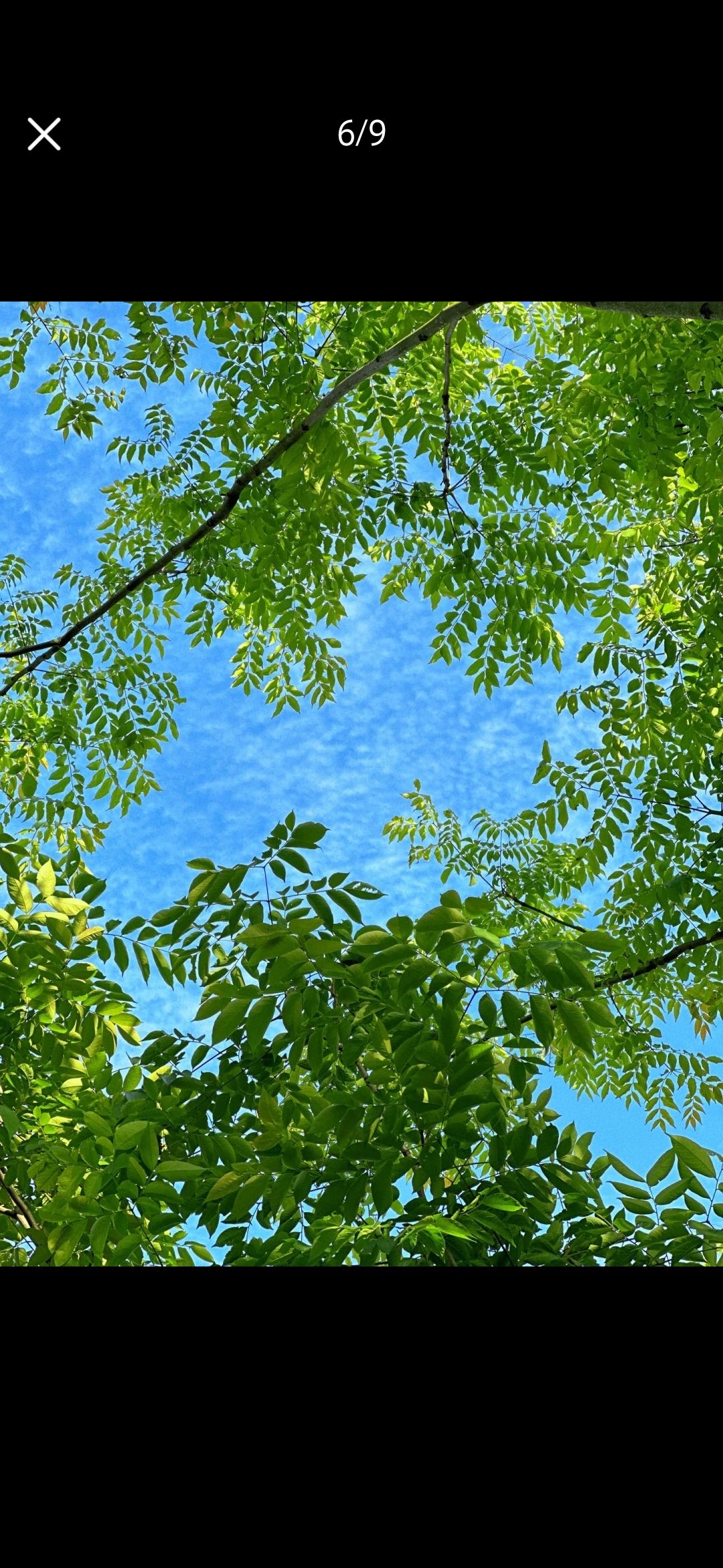 恋花湾(暂停开放)旅行图片 2