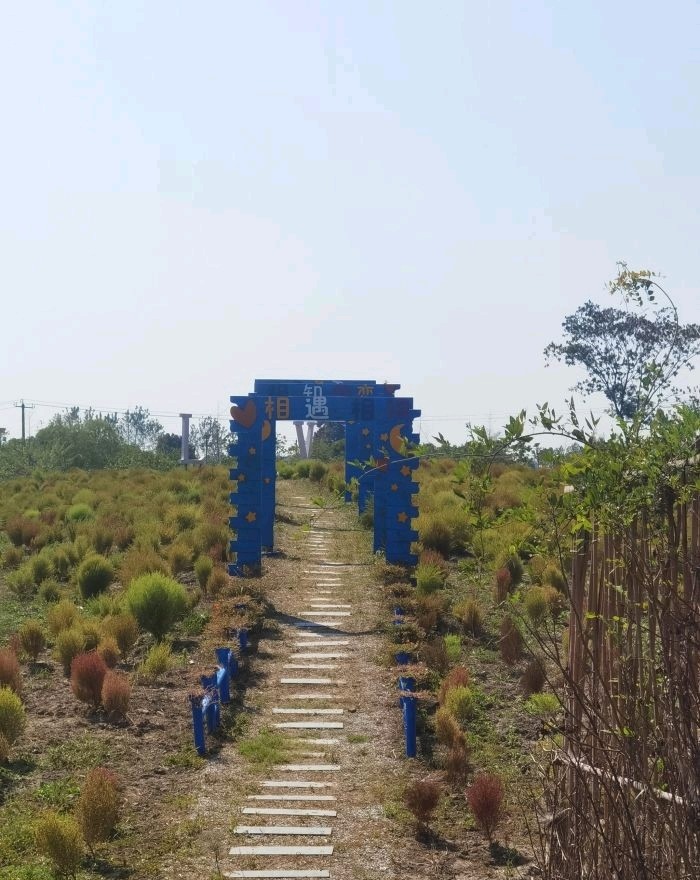 恋花湾(暂停开放)旅行图片 1