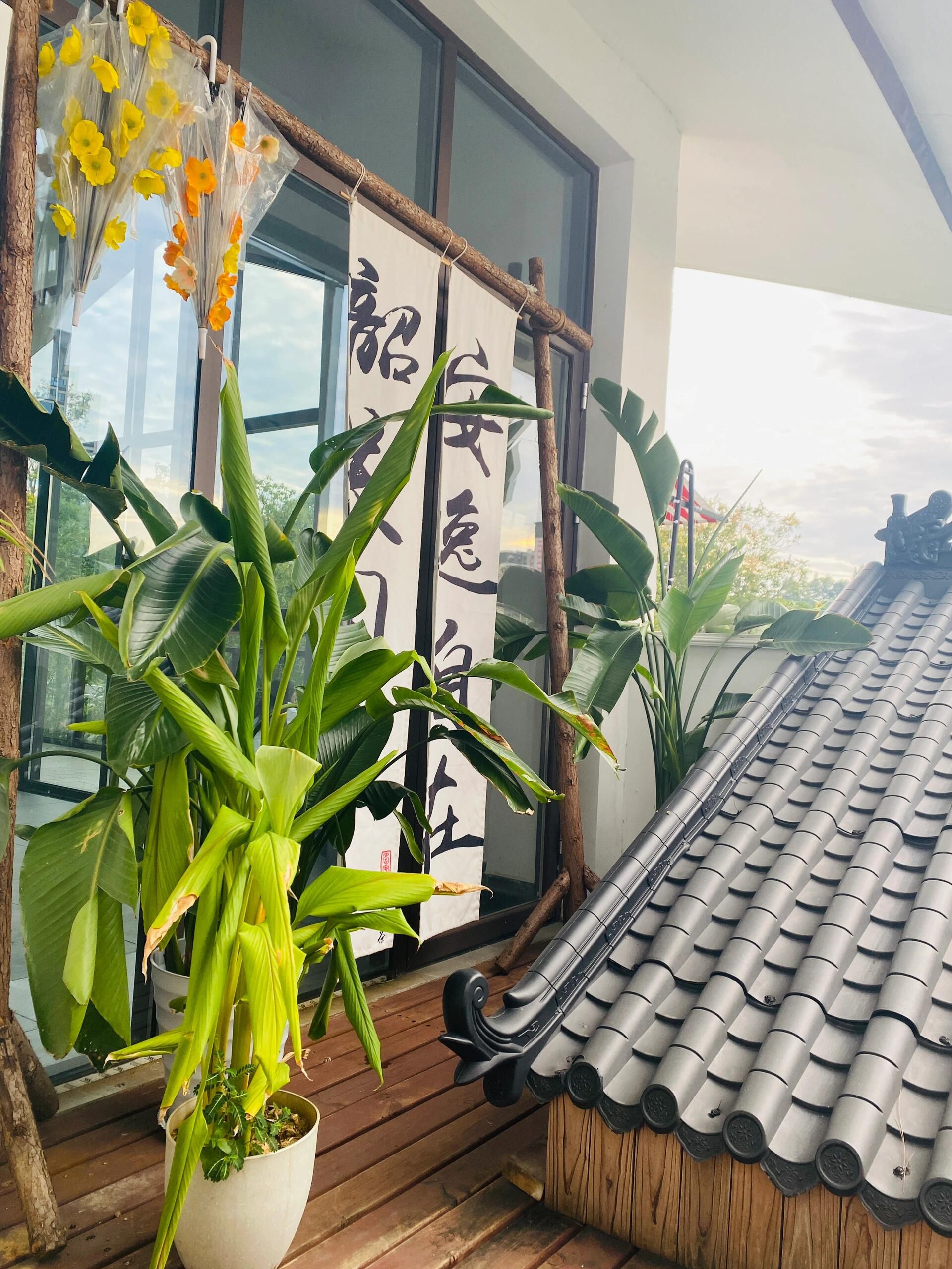 韶州公园旅行图片 3