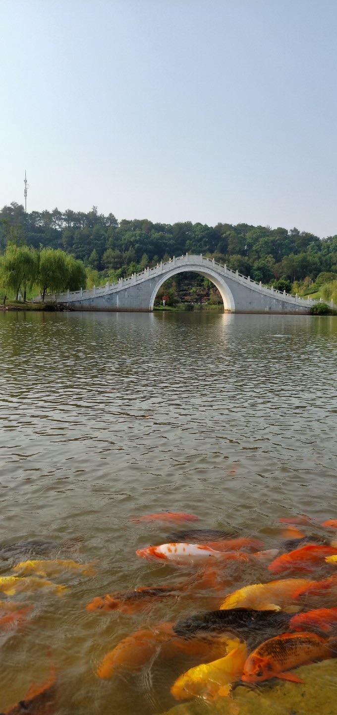 韶州公园旅行图片 3