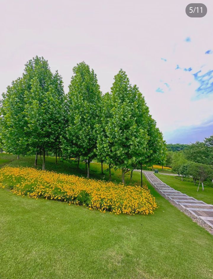 义乌市和平公园旅行图片 2