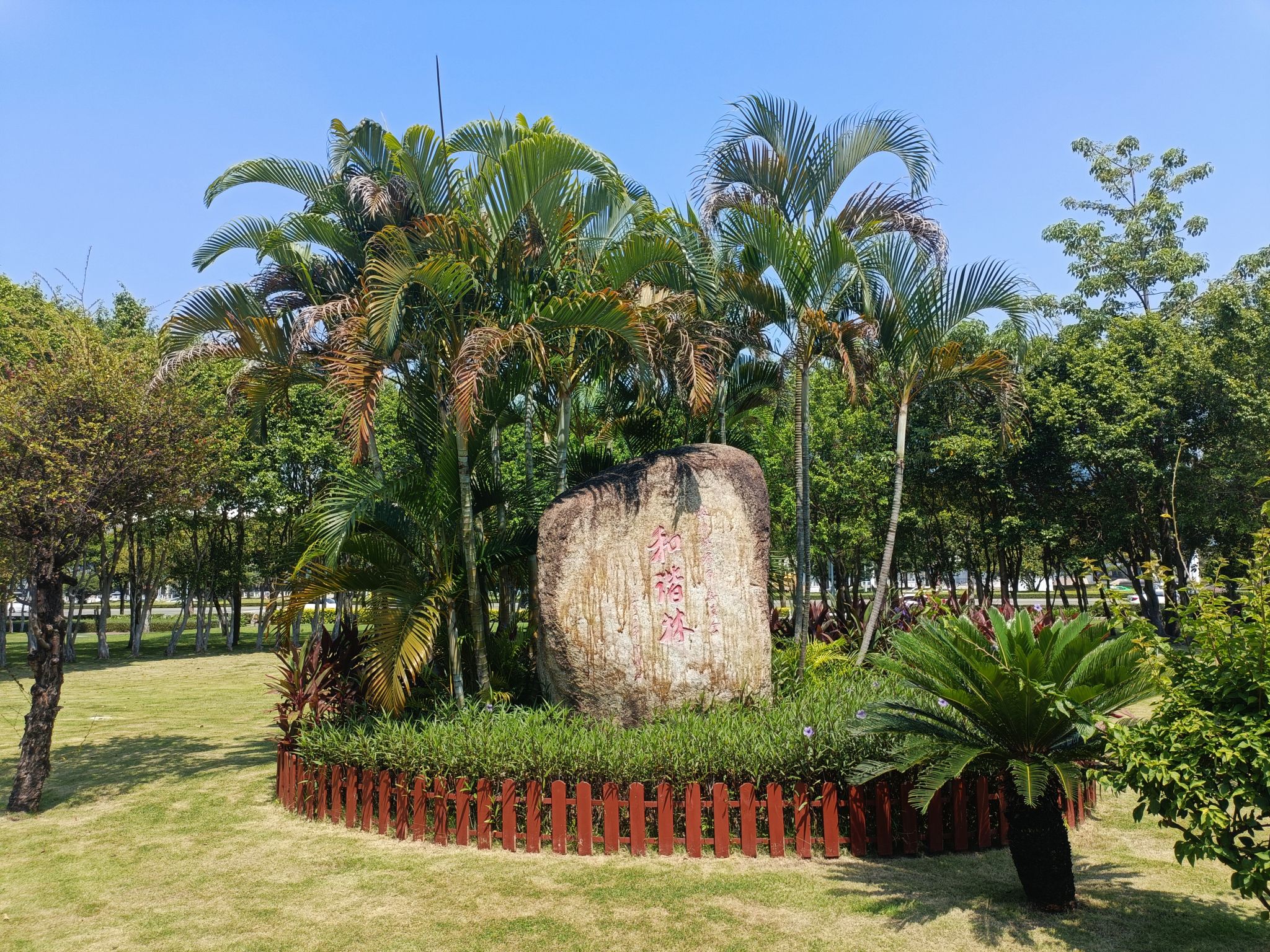 香洲社区公园旅行图片 3