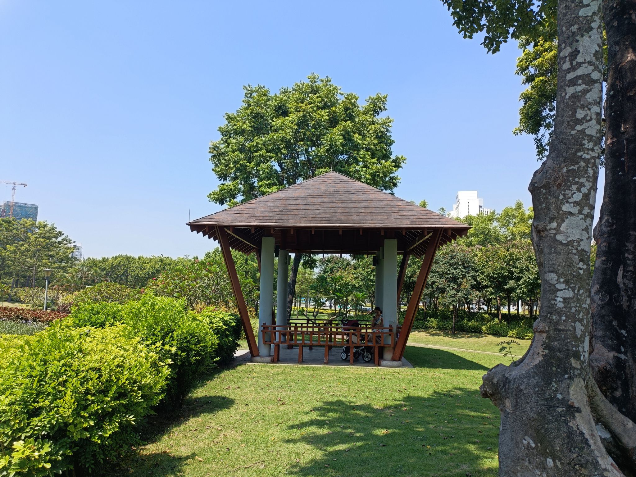 香洲社区公园旅行图片 2
