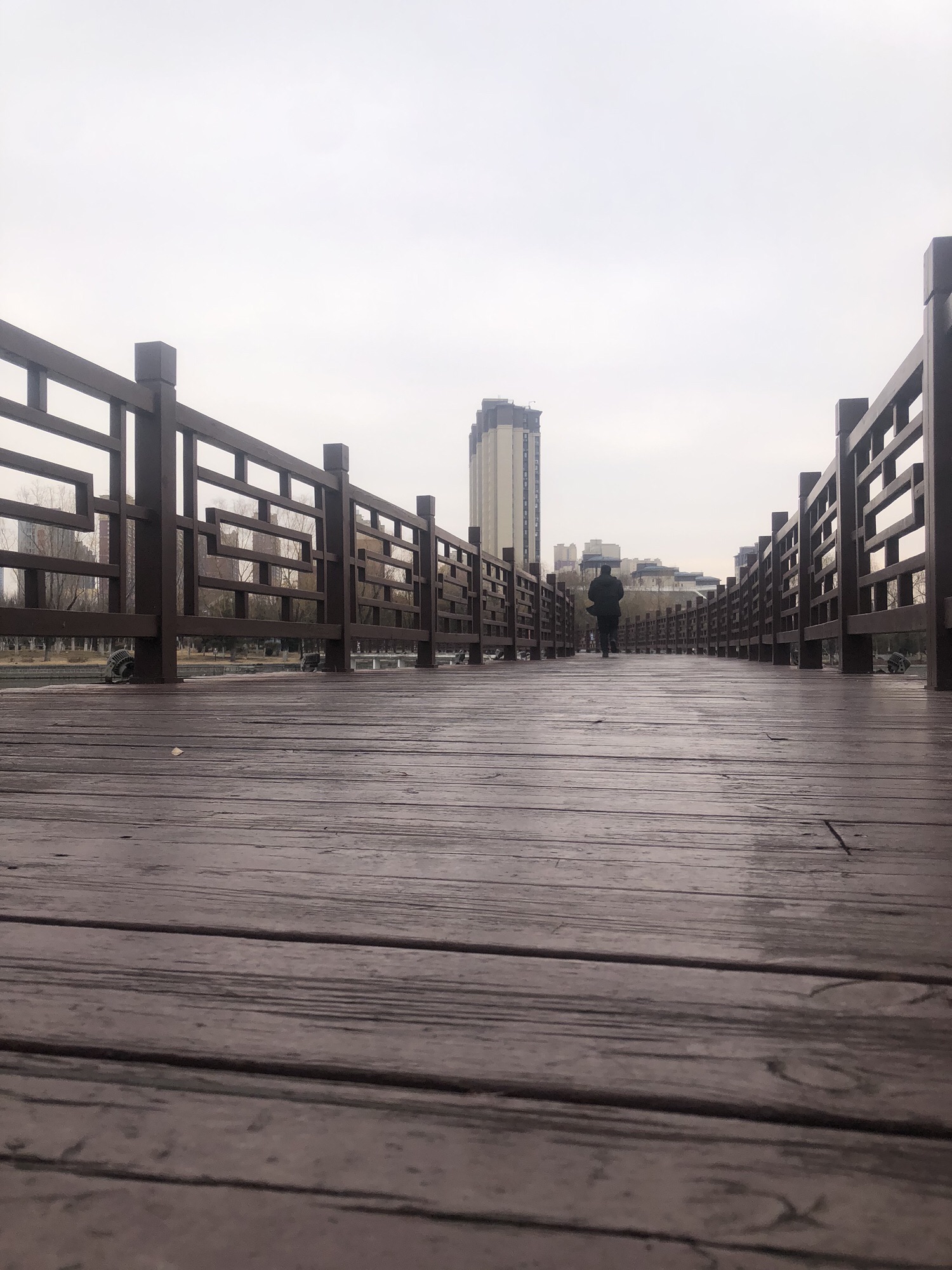 硕园公园旅行图片 3