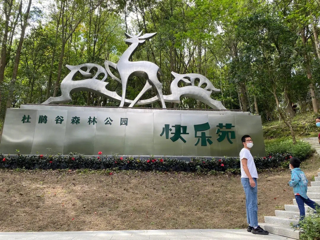 浙中杜鹃谷旅行图片 2