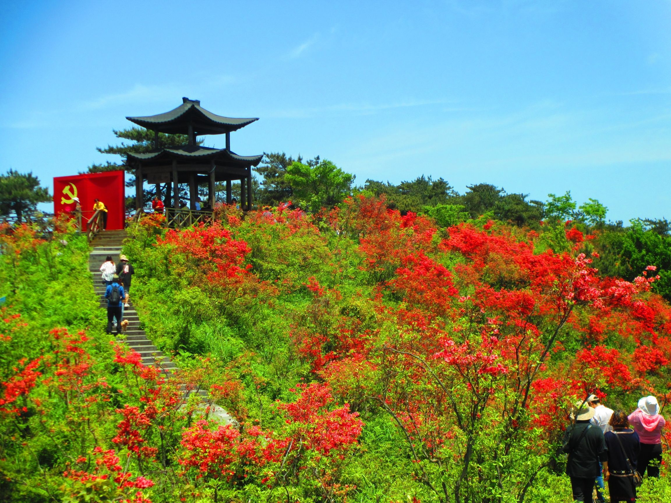 浙中杜鹃谷旅行图片 3