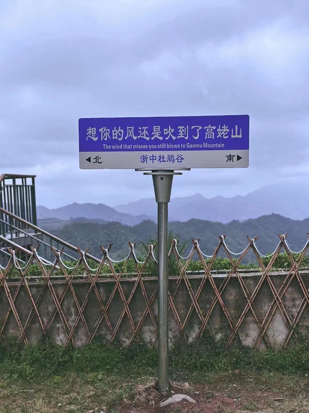 浙中杜鹃谷旅行图片 2