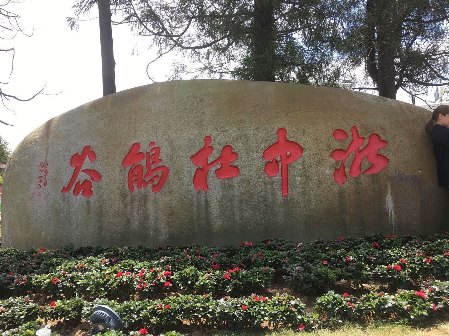 浙中杜鹃谷旅行图片 1