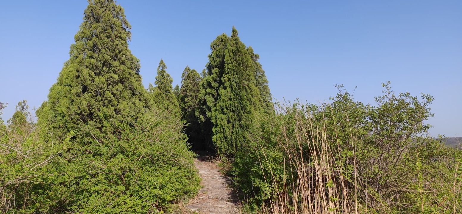 升仙台