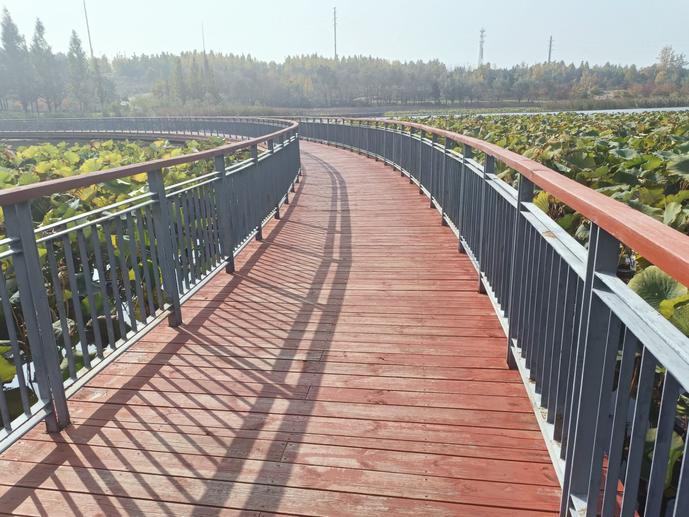 林泉河省级湿地公园旅行图片 1