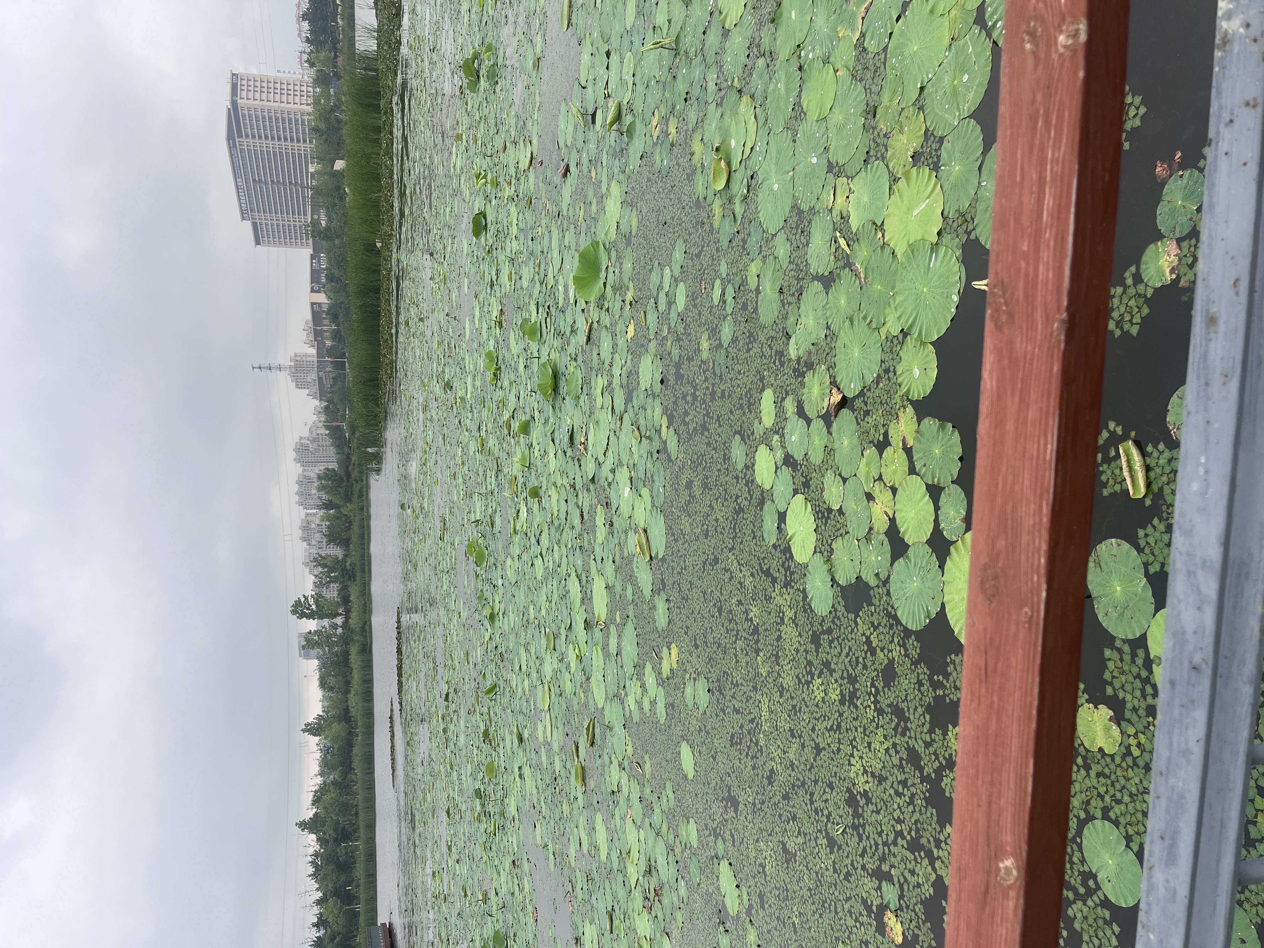 林泉河省级湿地公园旅行图片 2