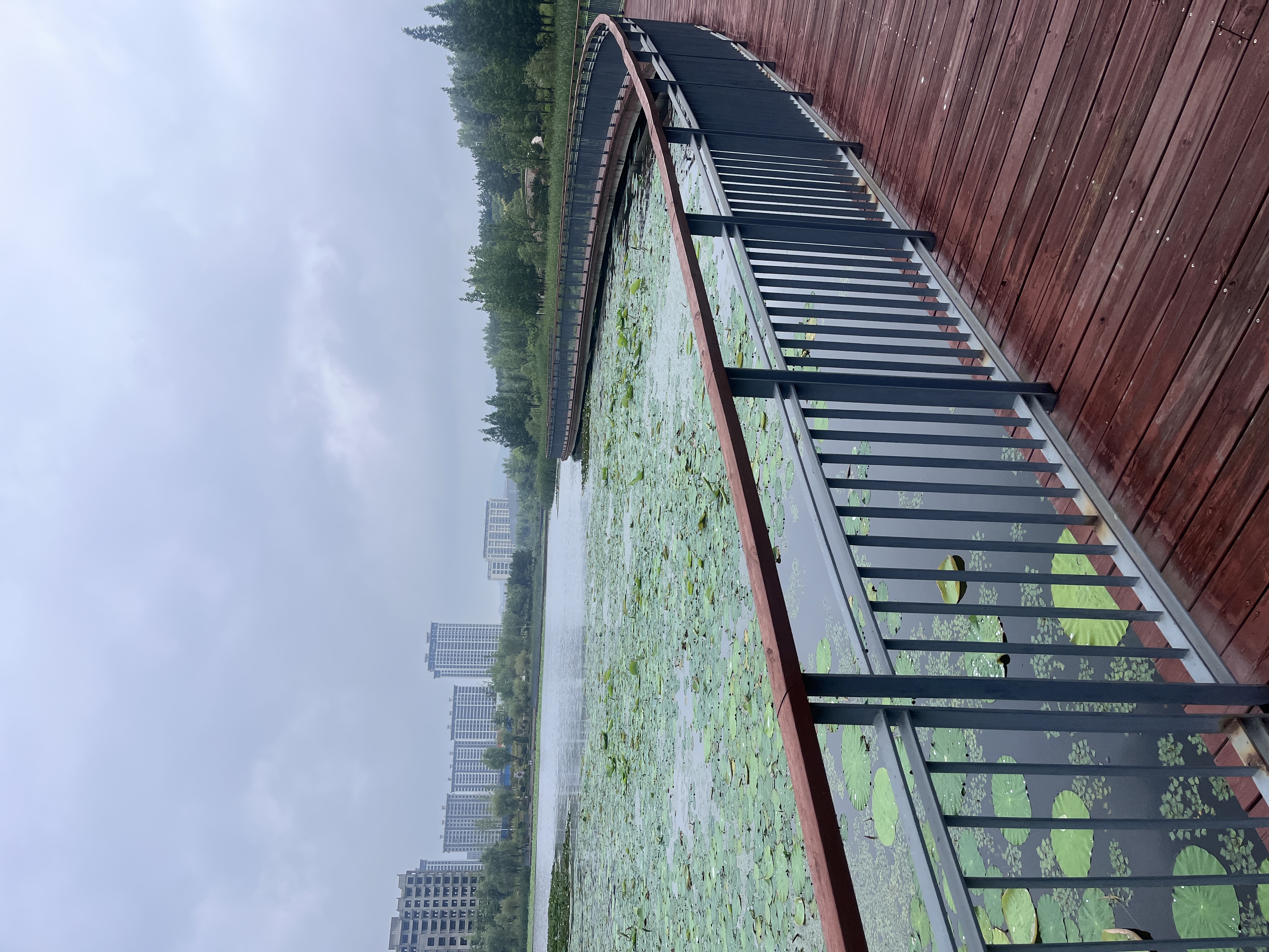 林泉河省级湿地公园旅行图片 3