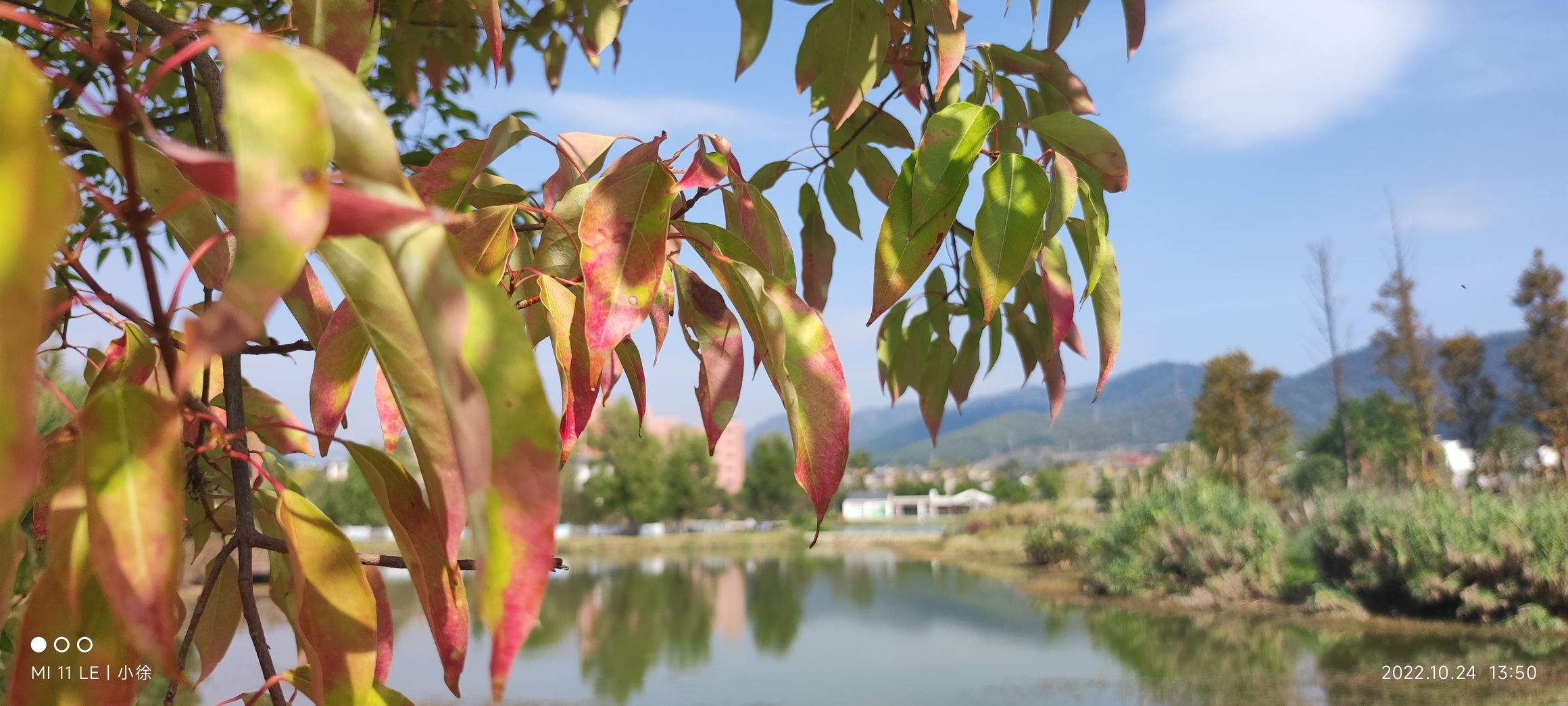 阳朗湿地公园旅行图片 1