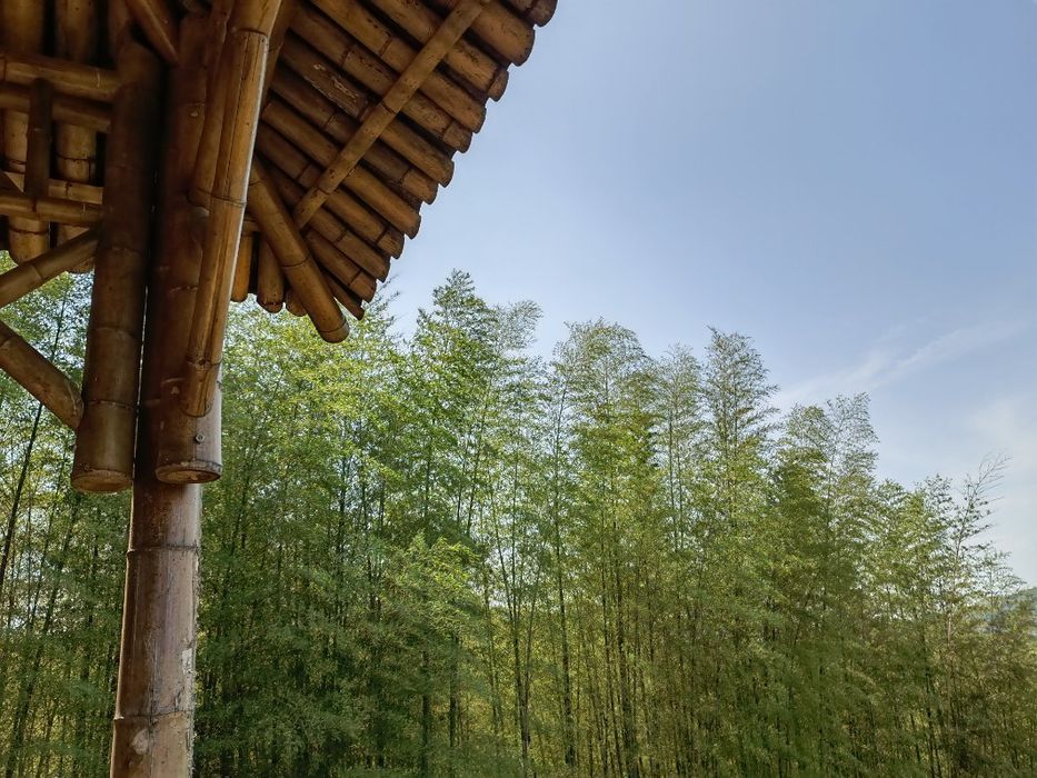 龙潭花谷旅行图片 3