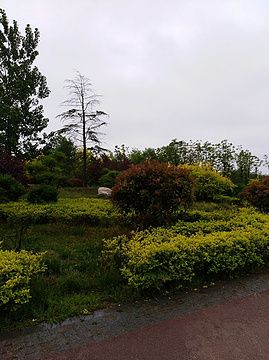 四季河人工湿地公园旅行图片 2