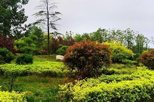 四季河人工湿地公园旅行图片 3