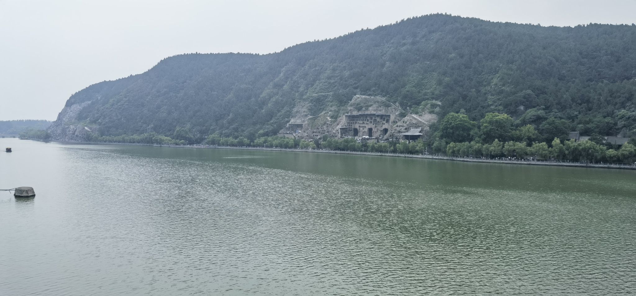 四季河人工湿地公园旅行图片 1
