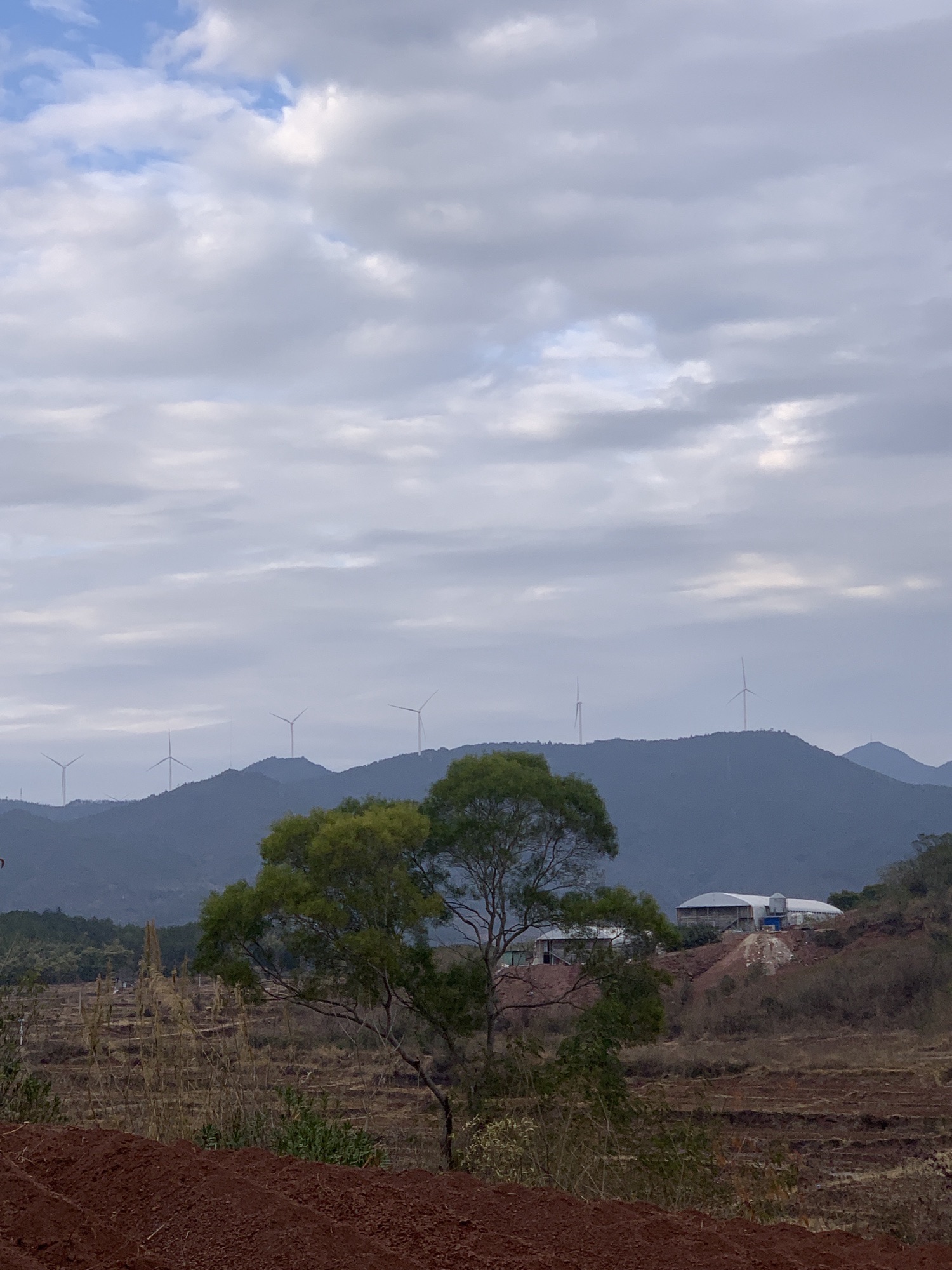 红沙岭旅行图片 2