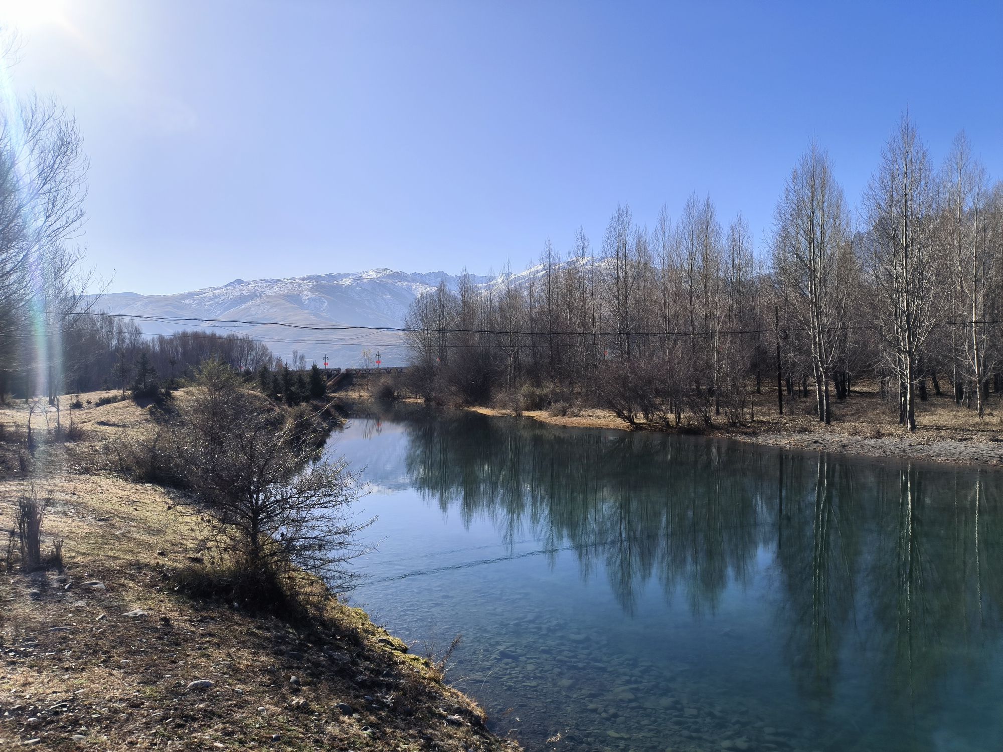 甘孜县雅砻林卡湿地旅行图片 3