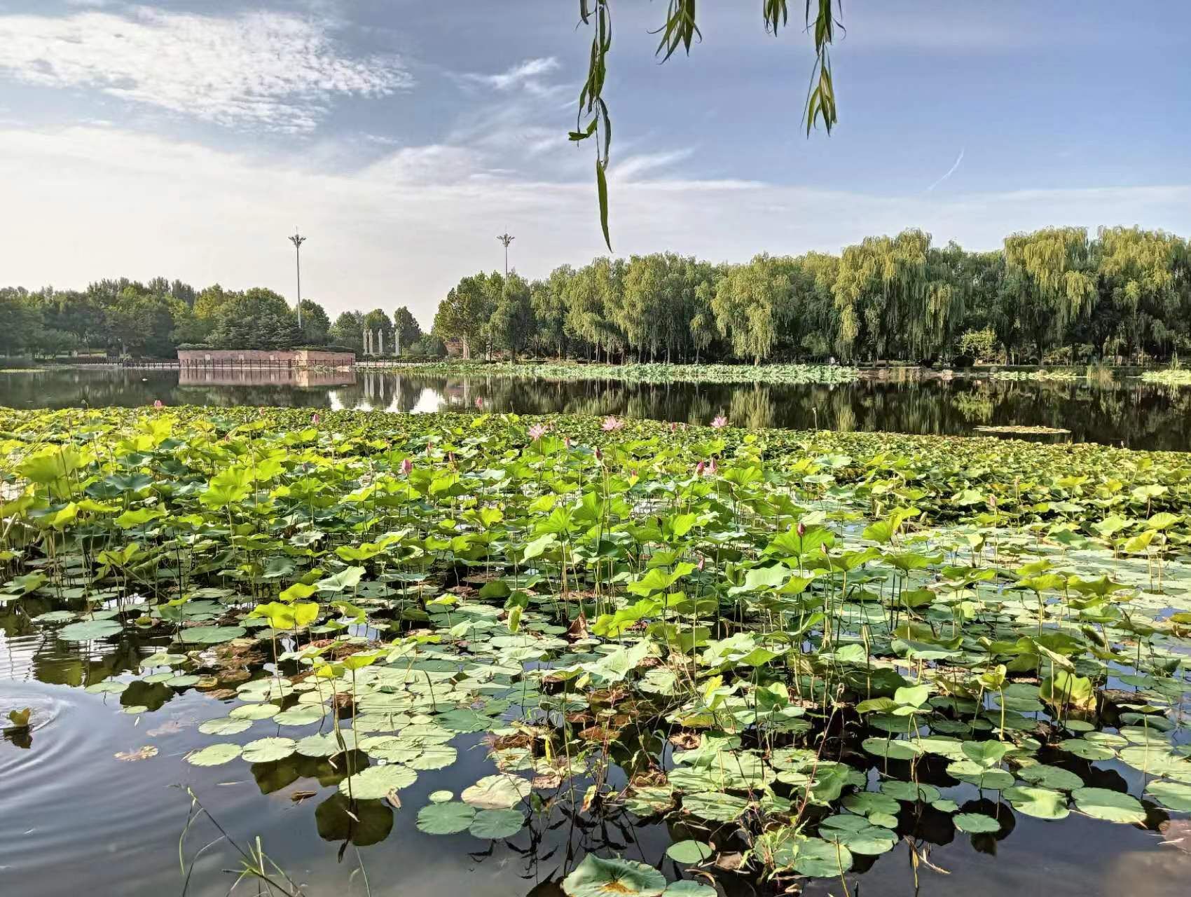 元氏公园旅行图片 2