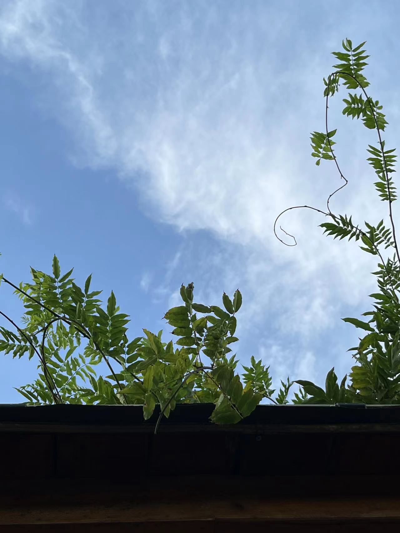 生态植物公园旅行图片 3