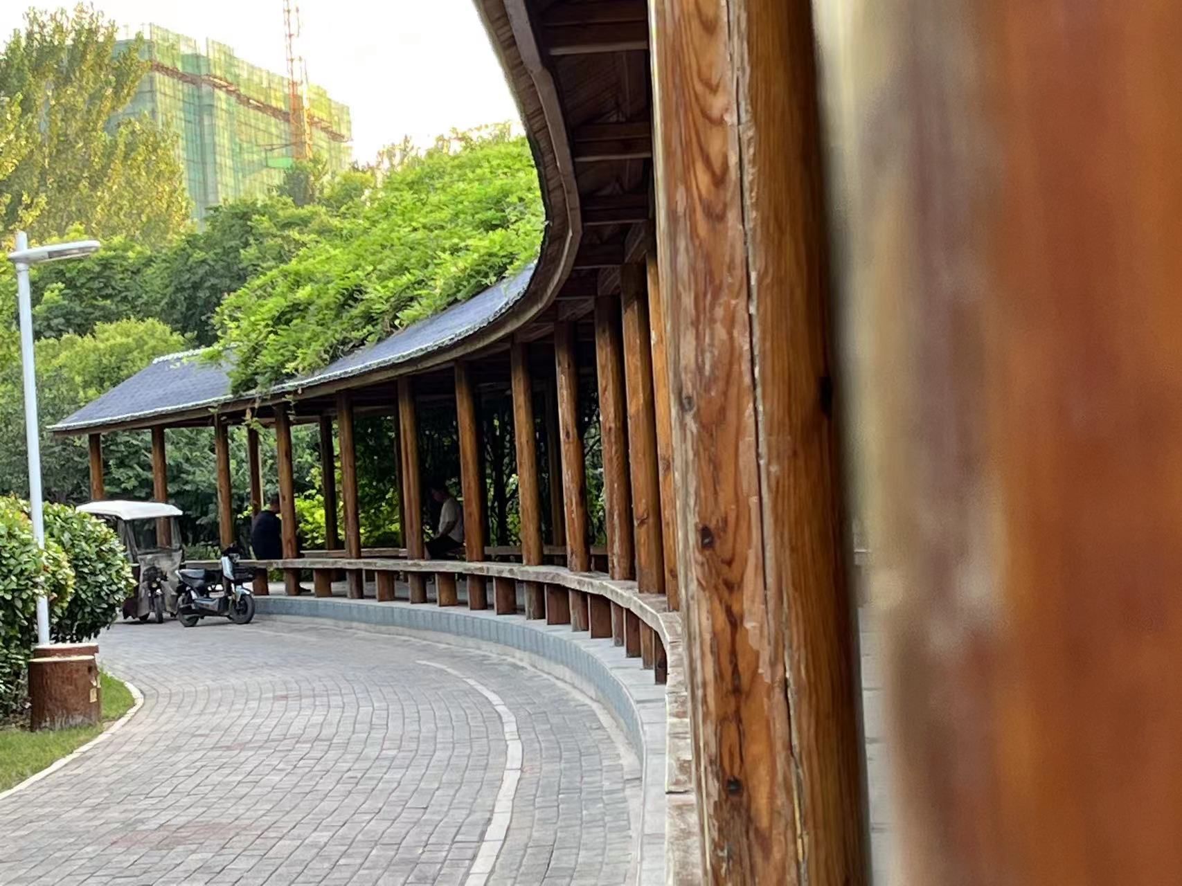 生态植物公园旅行图片 2