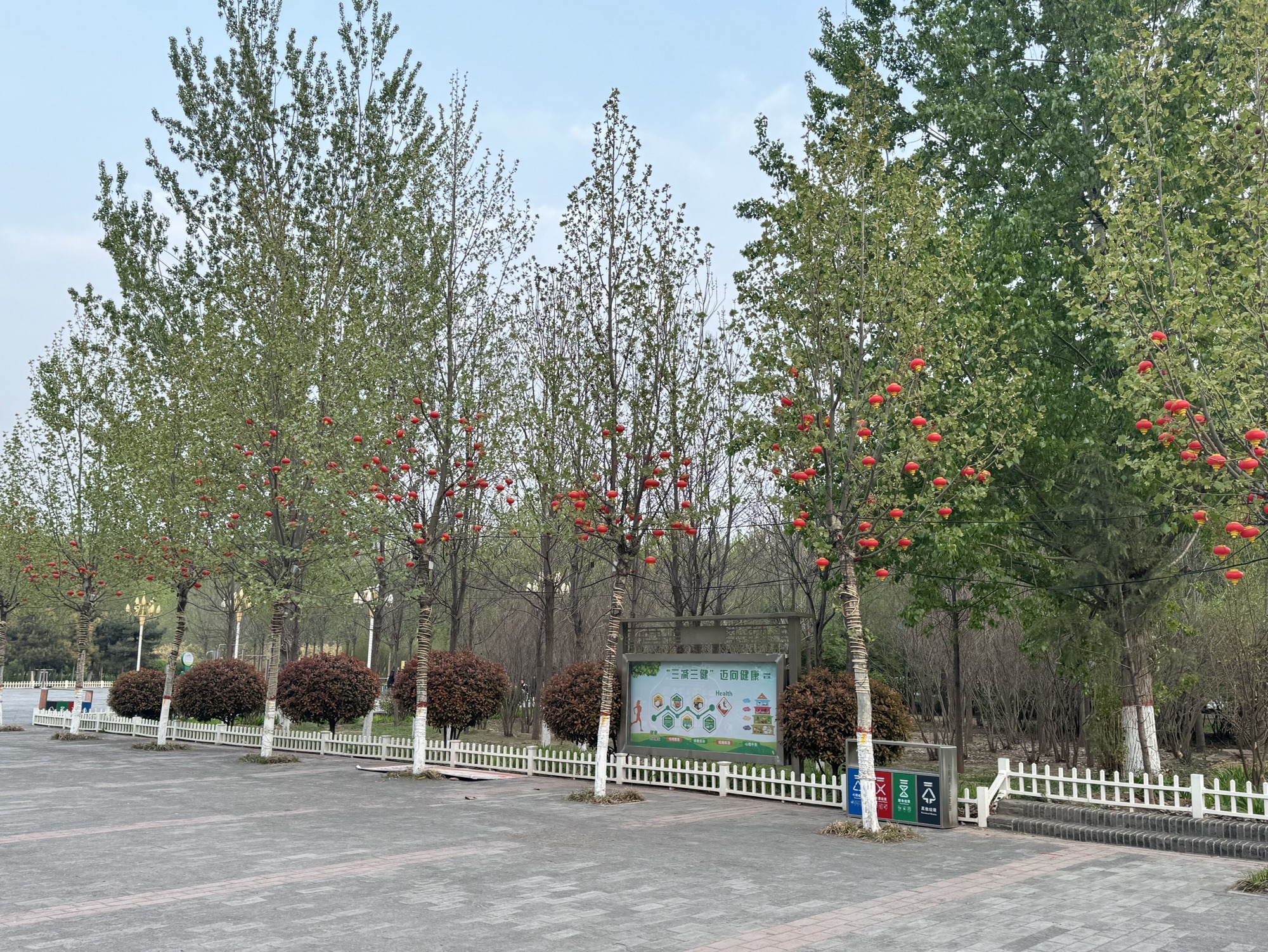 生态植物公园旅行图片 2