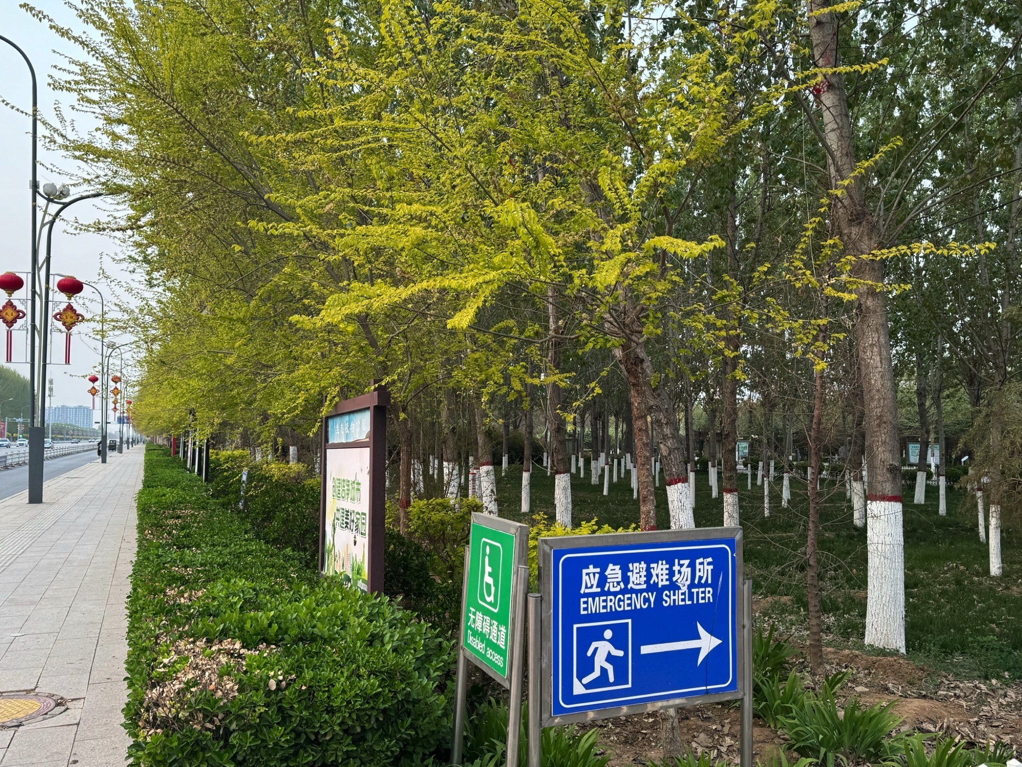 生态植物公园旅行图片 3