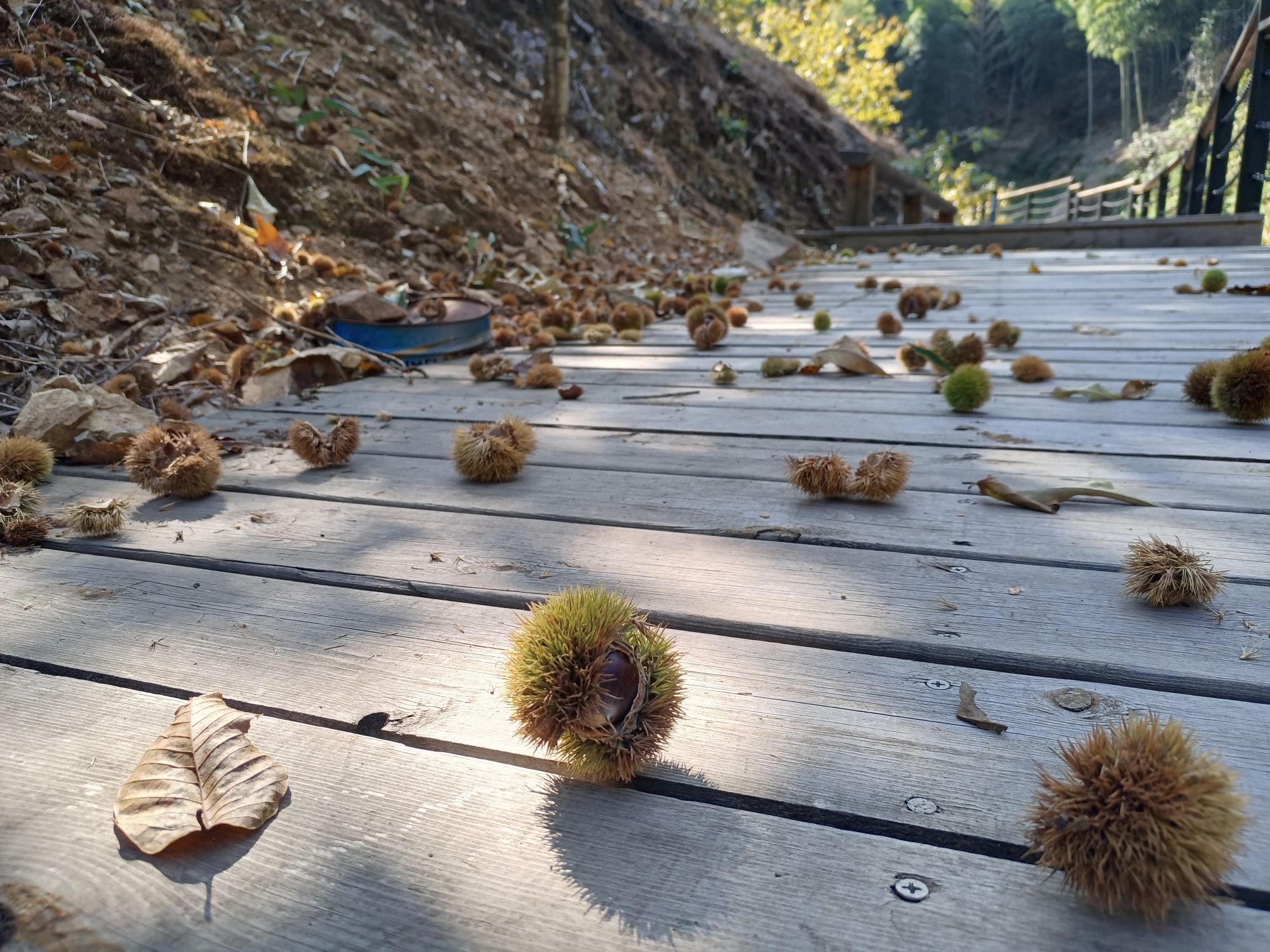 云上梯田景区旅行图片 3