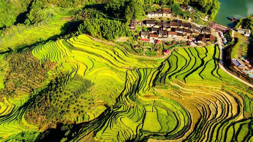 云上梯田景区旅行图片 2