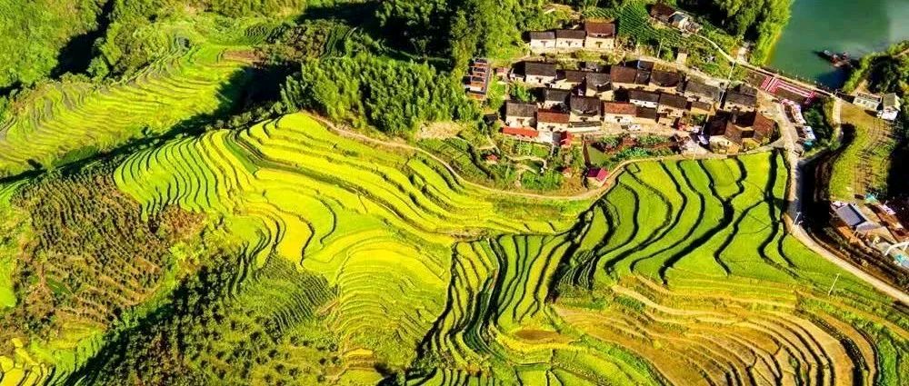 云上梯田景区旅行图片 3