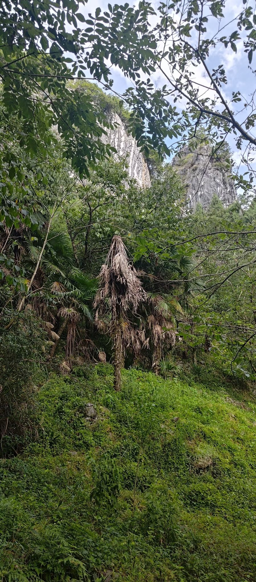 华东第一天坑旅行图片 3