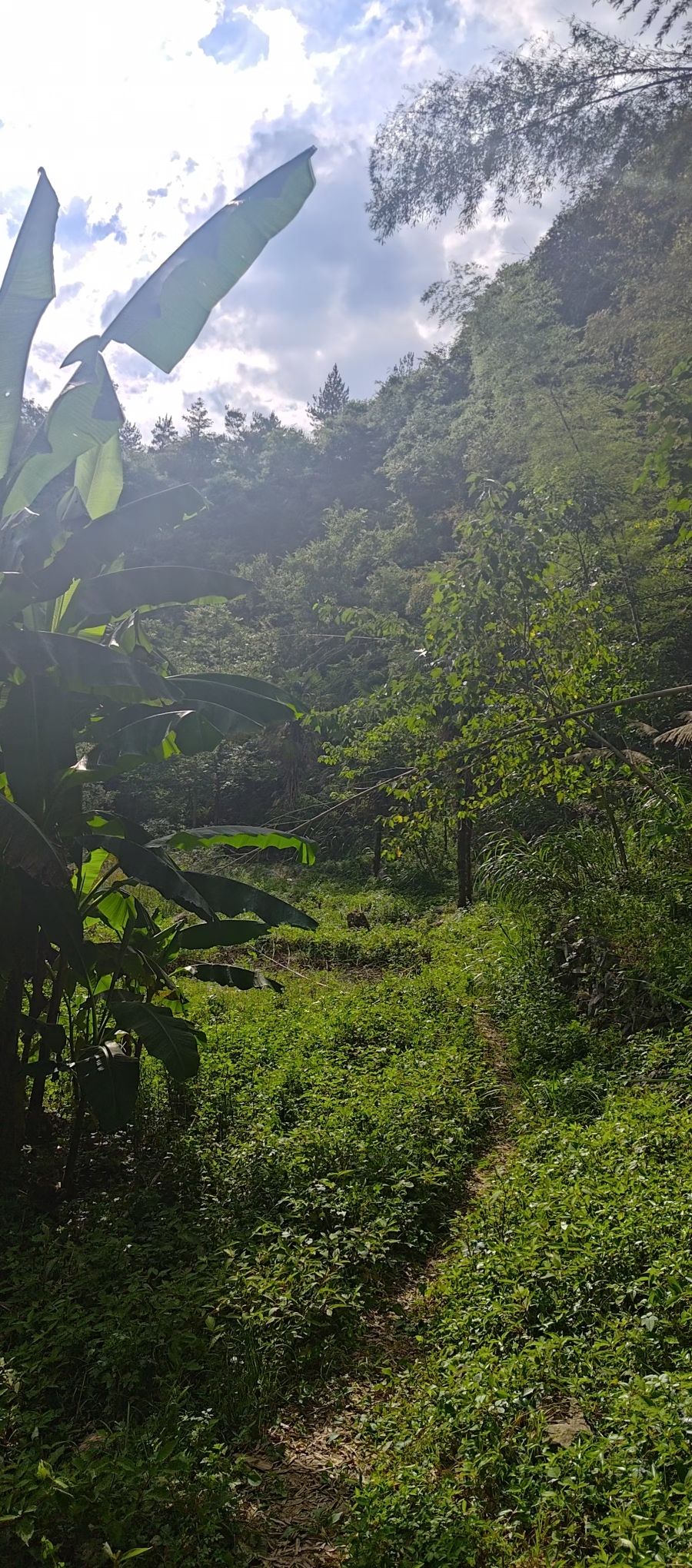 华东第一天坑旅行图片 2
